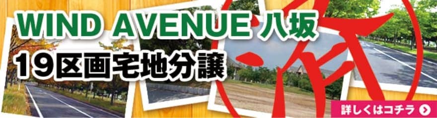 WIND AVENUE八坂
