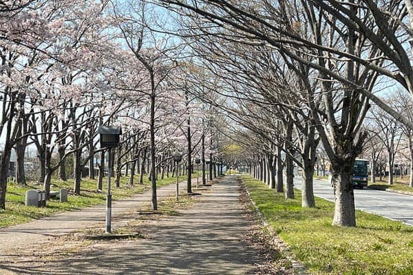 周辺環境